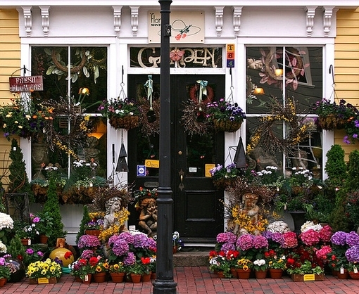 五颜六色的鲜花是花店幸福温暖的定义