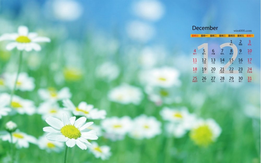 2016年12月日历绿色清新风景桌面壁纸