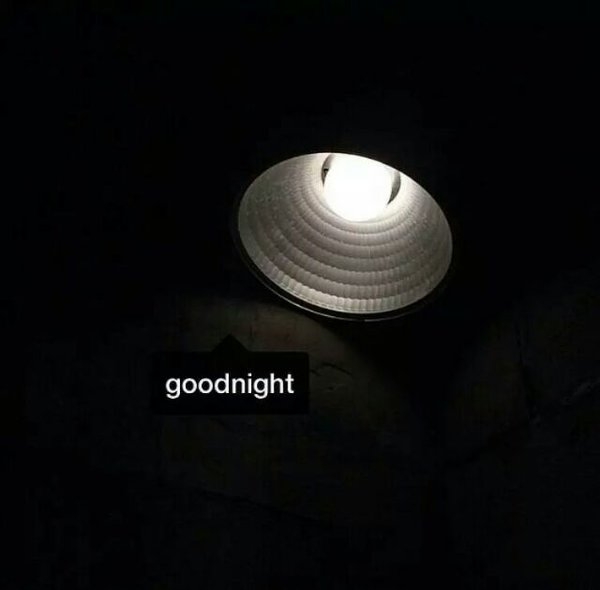 你们尽管秀，明年还是同一个人算我输。