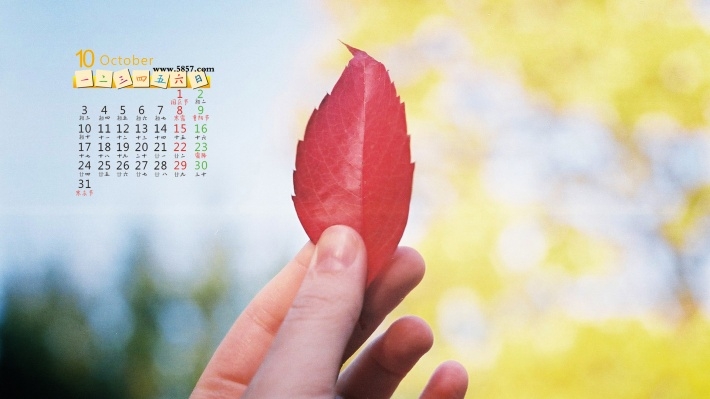 2016年秋天10月日历壁纸