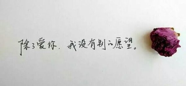 萱儿：你是我的梦就像南方的风