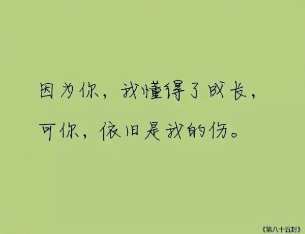 纵然世间任我挑，我的选择仍是你