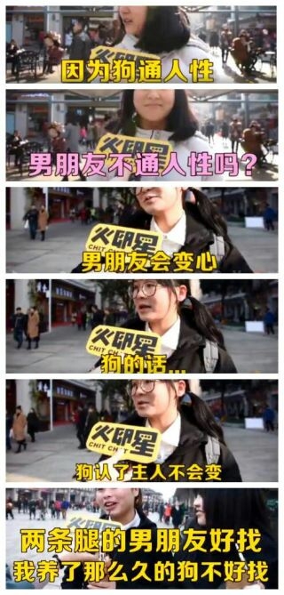 十年的狗和一年的男朋友 谁更重要?