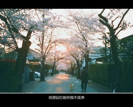 活该，我认了