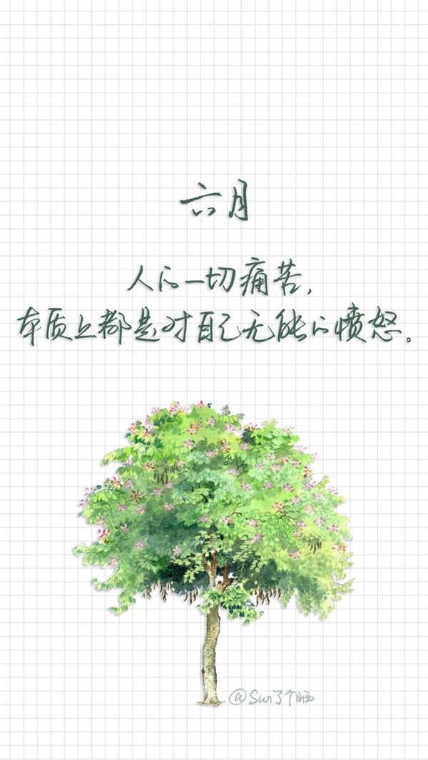 随便.