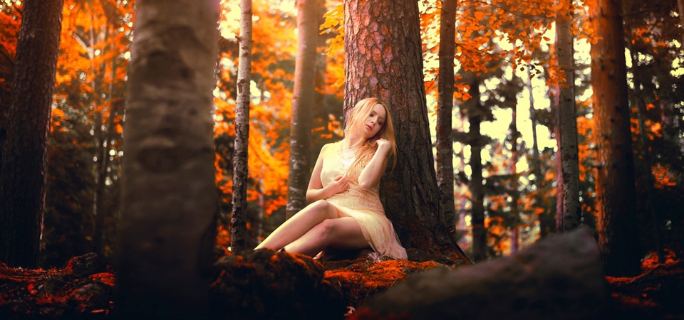 女孩，心情，森林，秋天，树林，落叶，石头，唯美壁纸