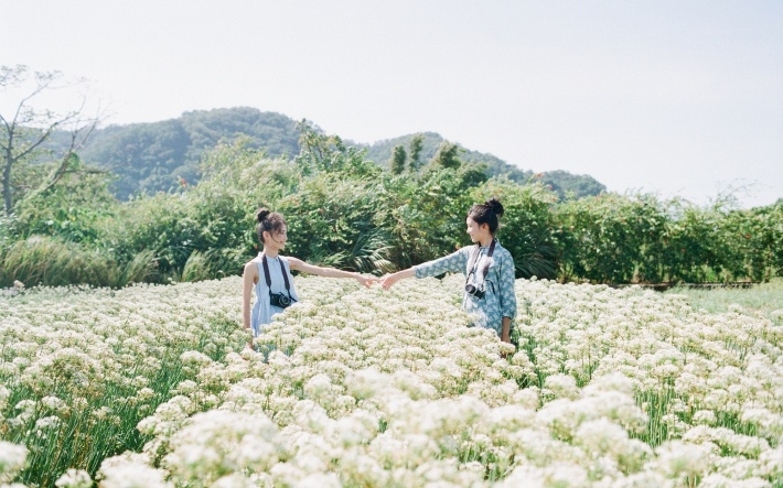 清新唯美闺蜜电脑壁纸