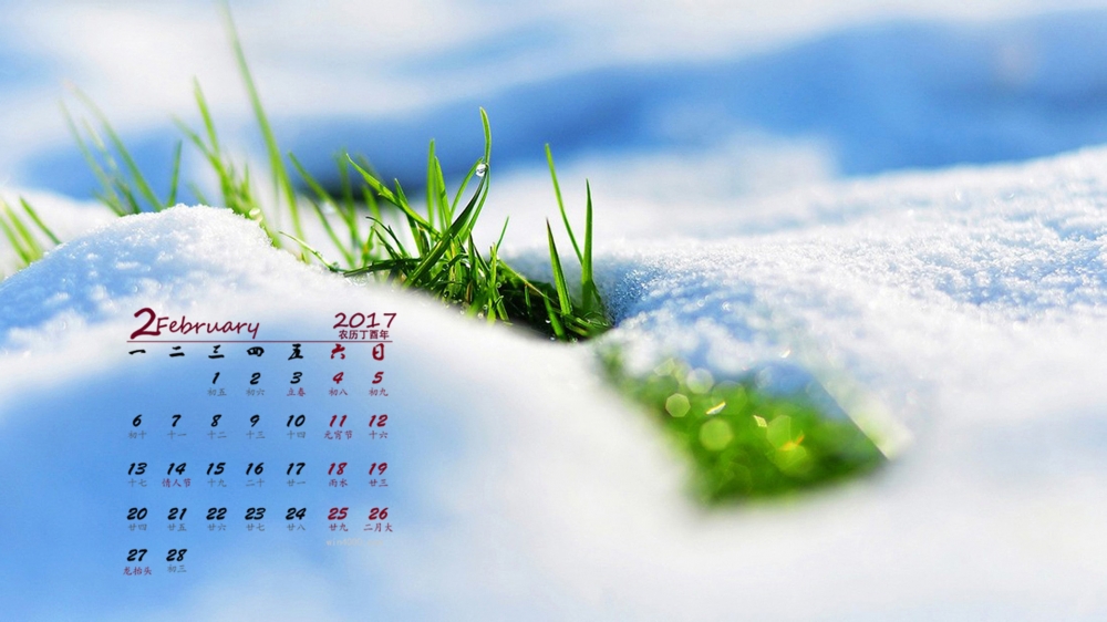 2017年2月小清新花朵唯美高清桌面日历壁纸