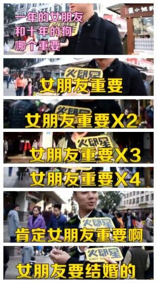 十年的狗和一年的男朋友 谁更重要?