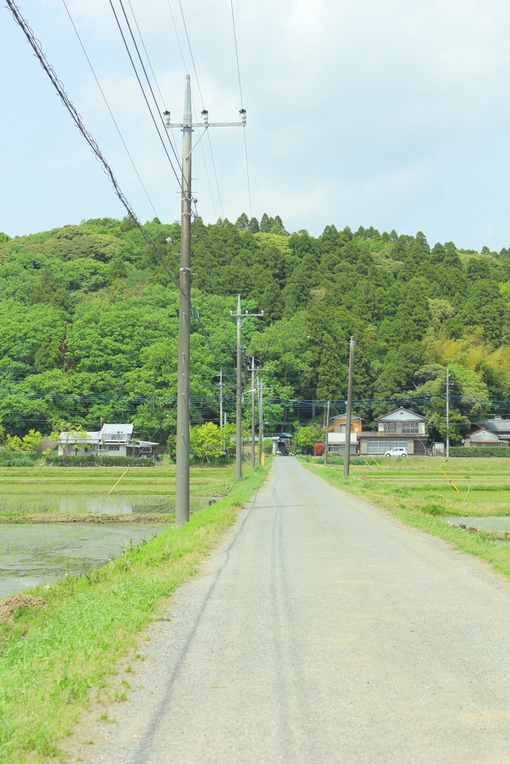 生活在这些绿色清新的地方 日系小清新美图