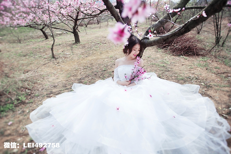 桃花盛开 婚纱照