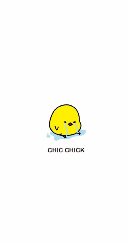 chic chick小黄鸡高清桌面壁纸