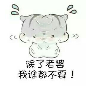 哄对象，撩妹撩汉表情包  喜欢抱走