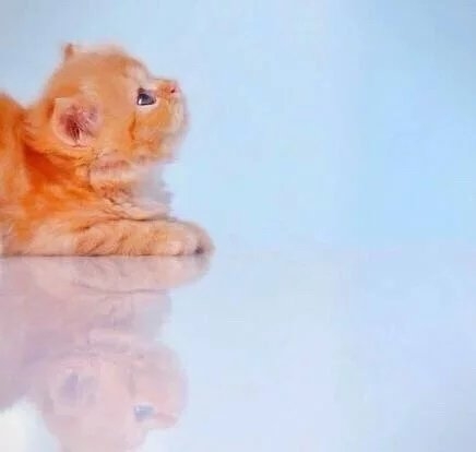 始终留有一抹温暖在心里