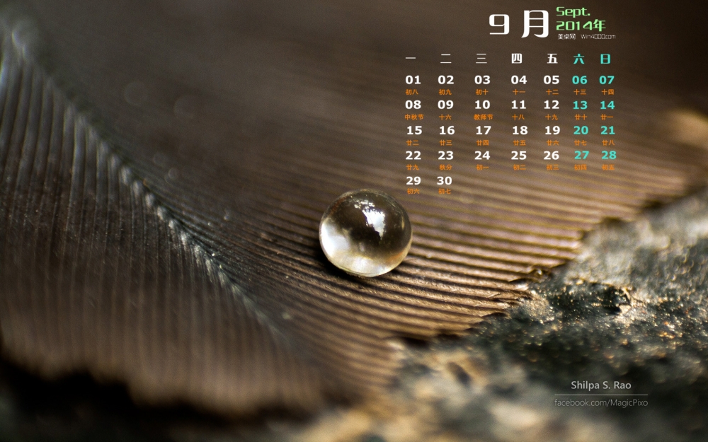 2014年9月日历高清水珠精选win8官方电脑桌面系统壁纸