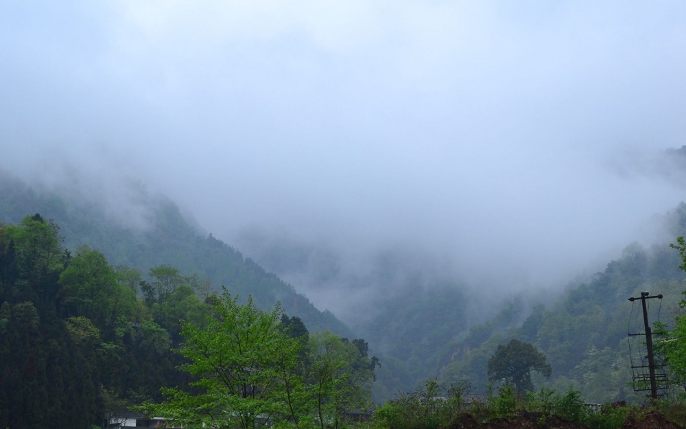 青城山高清风景壁纸