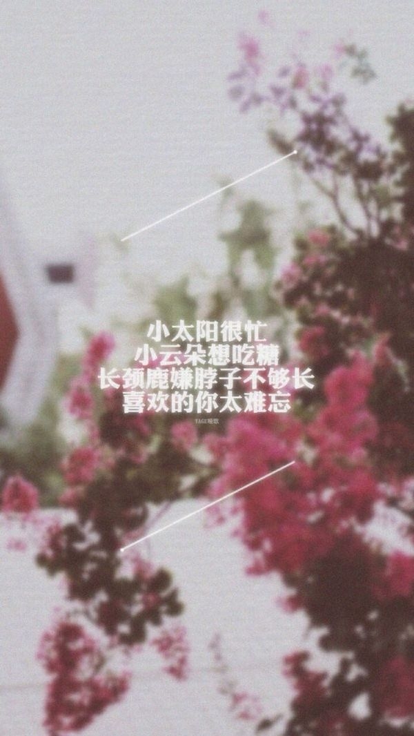 我想要开始一段新的旅程 情感带字图片