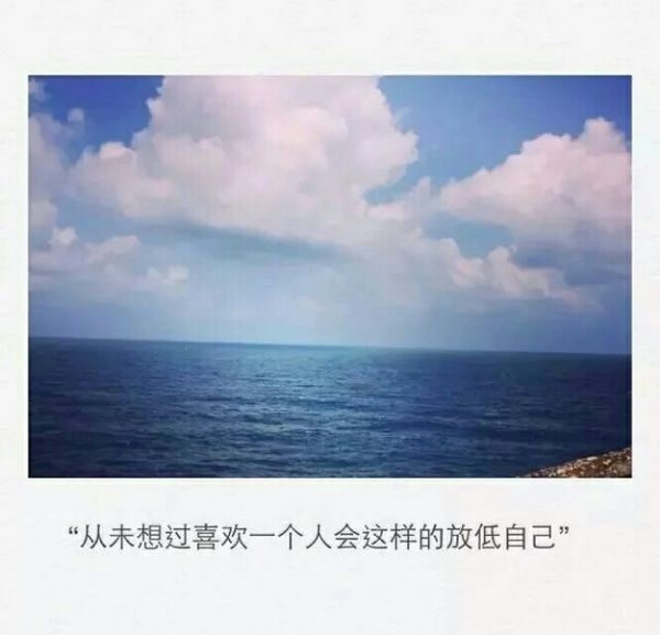 没那么多为什么，只是因为喜欢，所以情愿