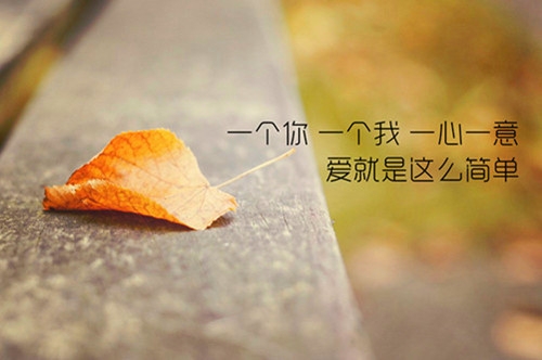 为了遇见你，我珍惜我自己