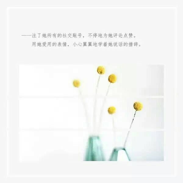 浪漫唯美句子图片大全合辑 爱是无言的对白无言的歌