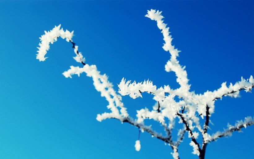 霜降时节桌面壁纸