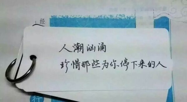 萱儿：你是我的梦就像南方的风