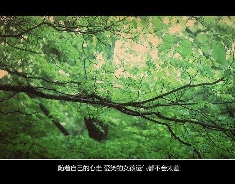 活该，我认了