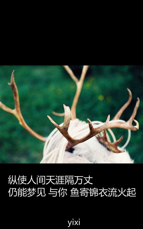 看不见对面的海怎么懂你的情深。