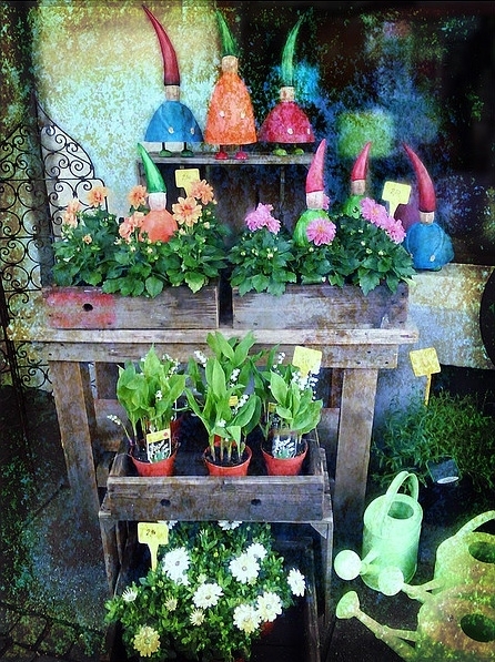 五颜六色的鲜花是花店幸福温暖的定义