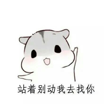如何宠女友