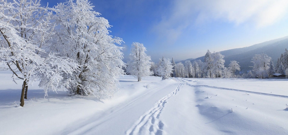 冬季，树林，公路，雪地，脚印，房子,风景桌面壁纸