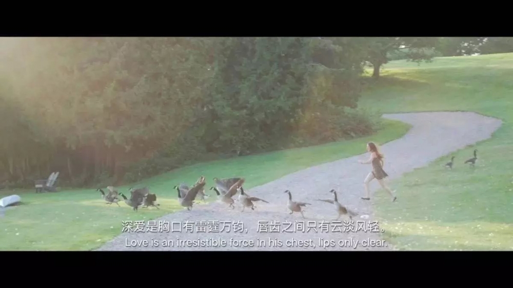 意中人.
