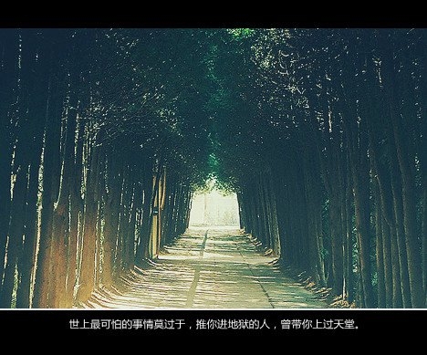 活该，我认了