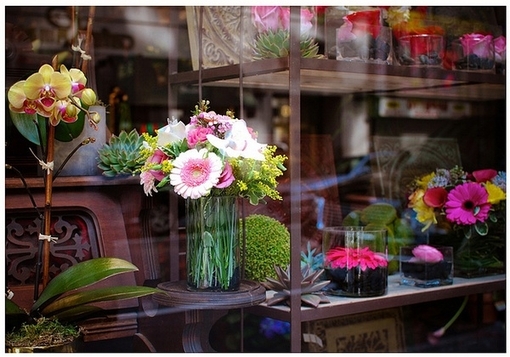 五颜六色的鲜花是花店幸福温暖的定义