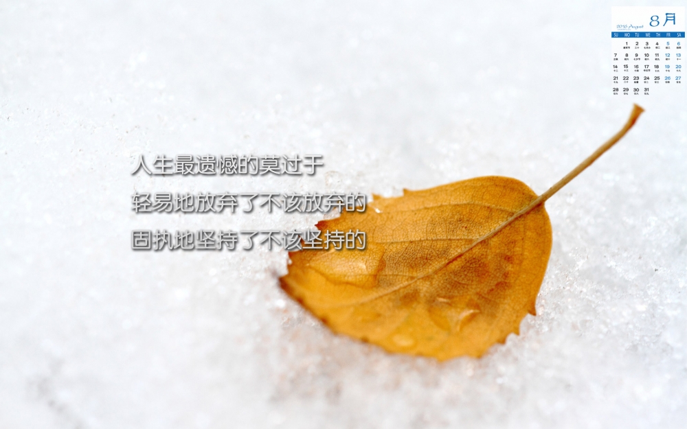 2016年8月日历励志文字图片唯美桌面壁纸