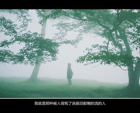 阳光很暖很美，如同你一样