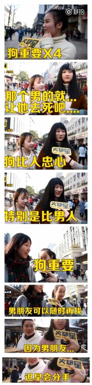 十年的狗和一年的男朋友 谁更重要?