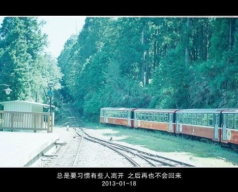 活该，我认了