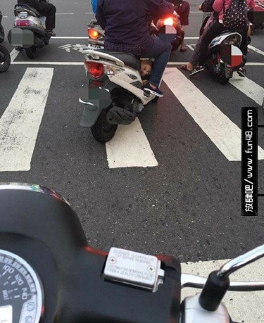 一看前面那娃就不是亲生的！