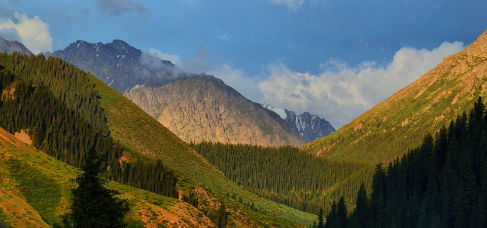 峡谷 高山 树木 吉尔吉斯斯坦风景桌面壁纸