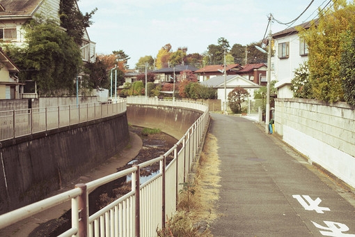 生活在这些绿色清新的地方 日系小清新美图