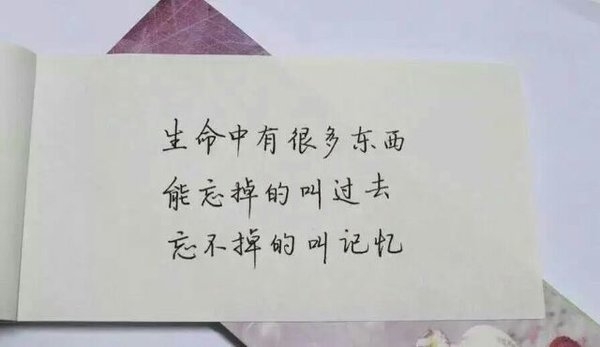萱儿：你是我的梦就像南方的风