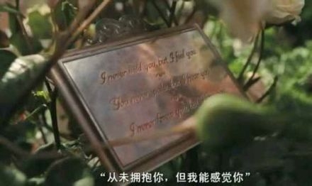 从未拥抱你，但我能感觉到你