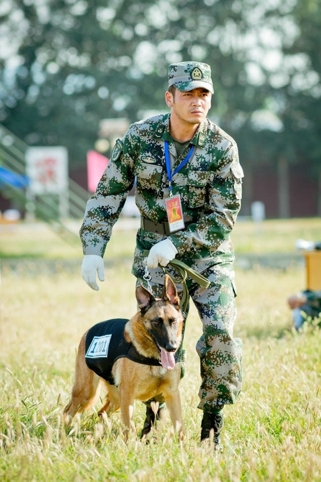 《神犬奇兵》高清手机壁纸