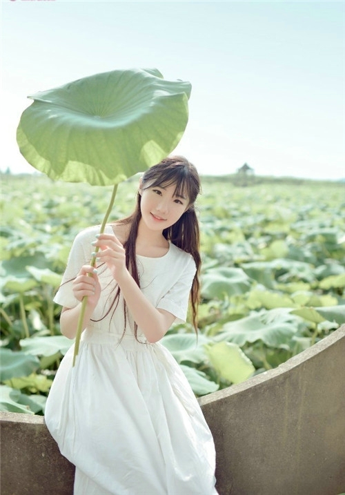相应莲花别样红 小清新女生图片