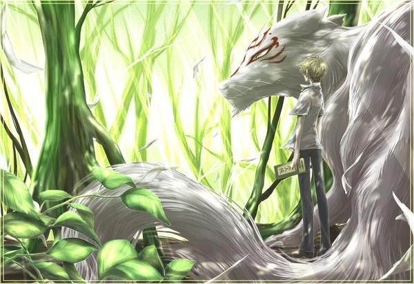 唯美动漫图片 夏目友人帐