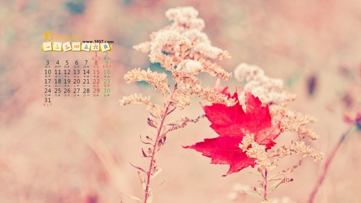 2016年秋天10月日历壁纸