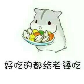 哄对象，撩妹撩汉表情包  喜欢抱走