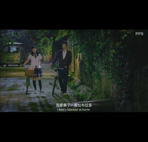 爱你我很小心翼翼