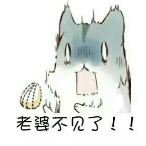 哄对象，撩妹撩汉表情包  喜欢抱走